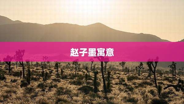 赵子墨寓意