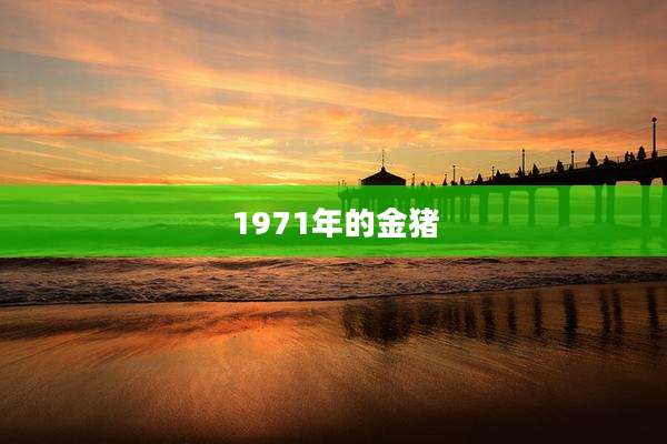 1971年的金猪
