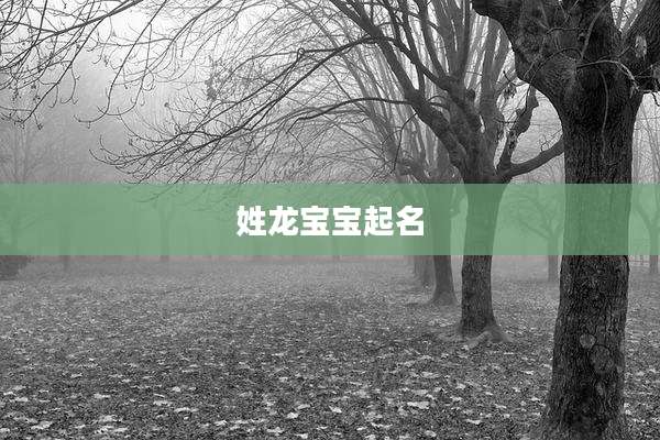 姓龙宝宝起名