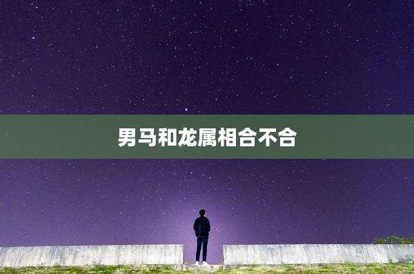 男马和龙属相合不合