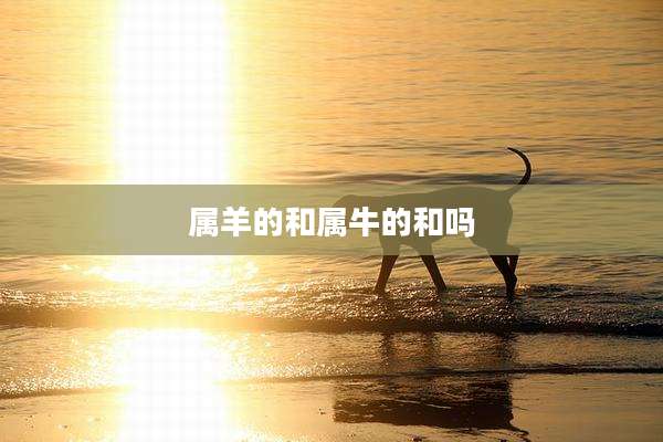 属羊的和属牛的和吗