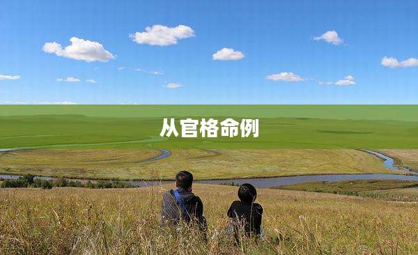 从官格命例
