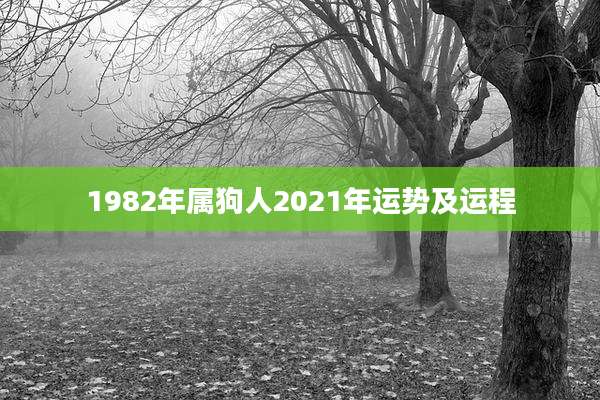 1982年属狗人2021年运势及运程