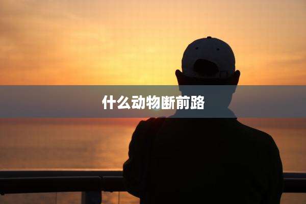 什么动物断前路