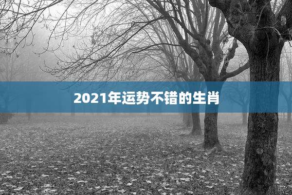 2021年运势不错的生肖