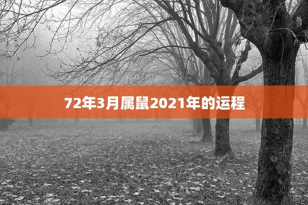 72年3月属鼠2021年的运程
