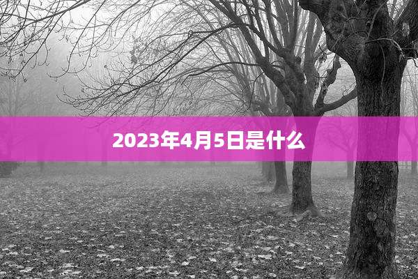 2023年4月5日是什么