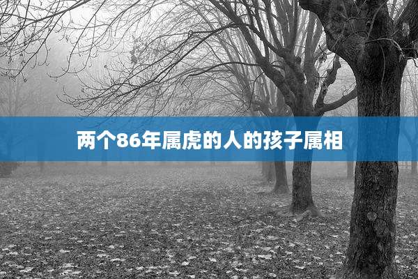 两个86年属虎的人的孩子属相
