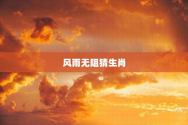 风雨无阻猜生肖
