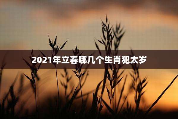 2021年立春哪几个生肖犯太岁