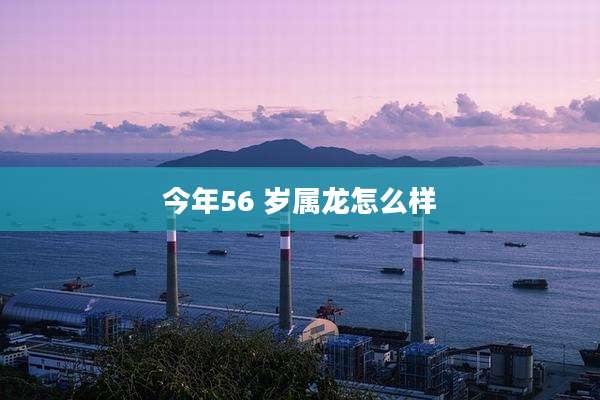 今年56 岁属龙怎么样