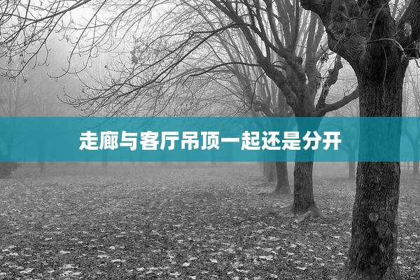 走廊与客厅吊顶一起还是分开