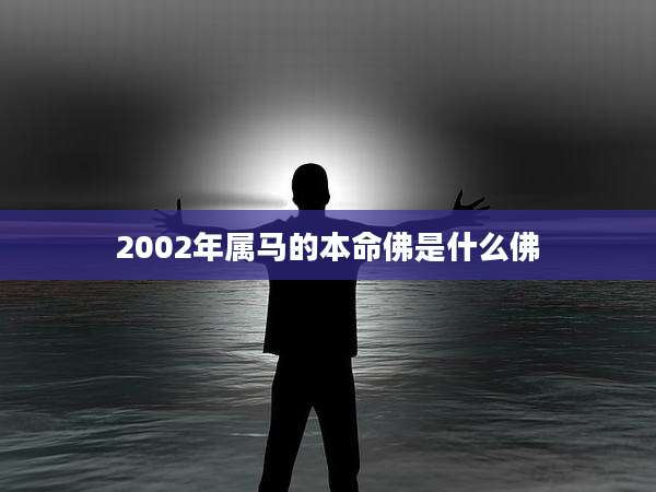 2002年属马的本命佛是什么佛