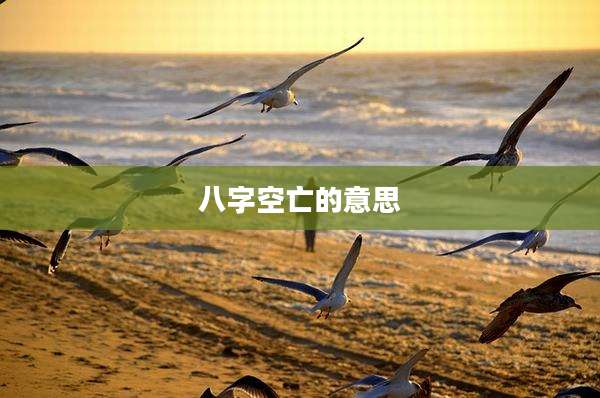 八字空亡的意思