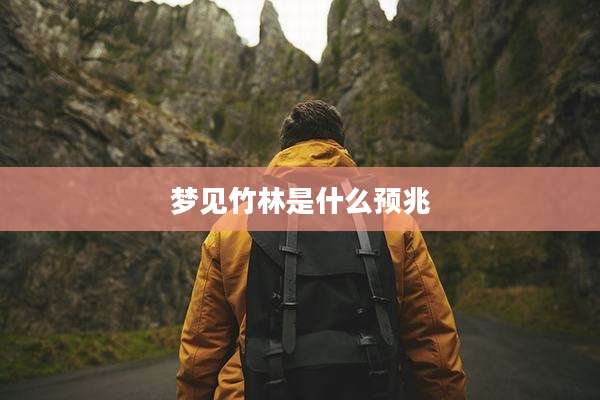 梦见竹林是什么预兆