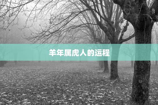 羊年属虎人的运程