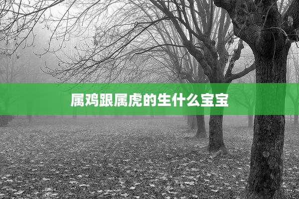 属鸡跟属虎的生什么宝宝