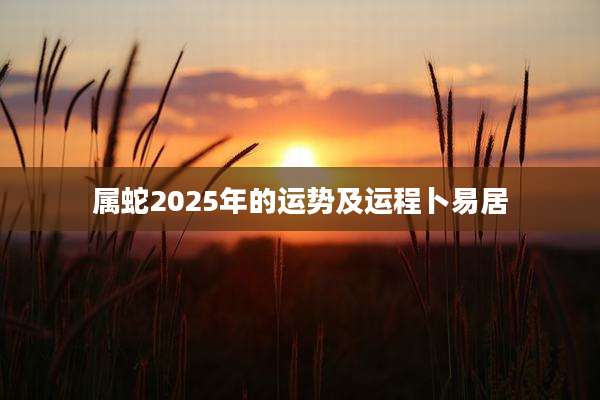 属蛇2025年的运势及运程卜易居