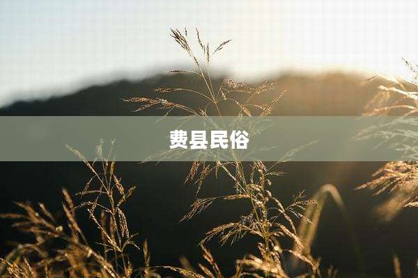 费县民俗