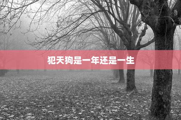 犯天狗是一年还是一生