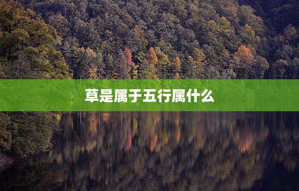 草是属于五行属什么
