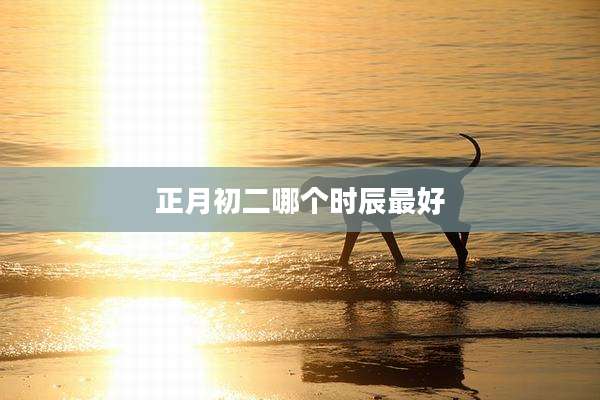 正月初二哪个时辰最好
