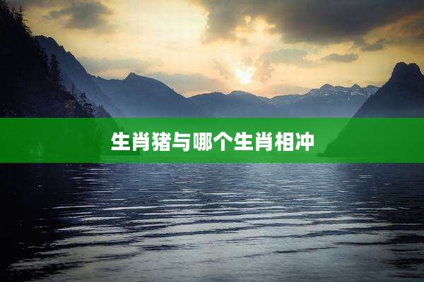 生肖猪与哪个生肖相冲