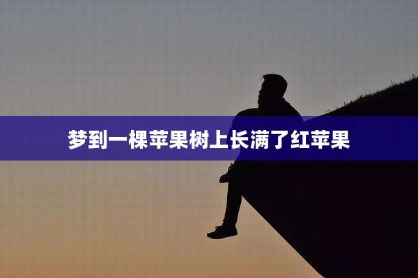 梦到一棵苹果树上长满了红苹果