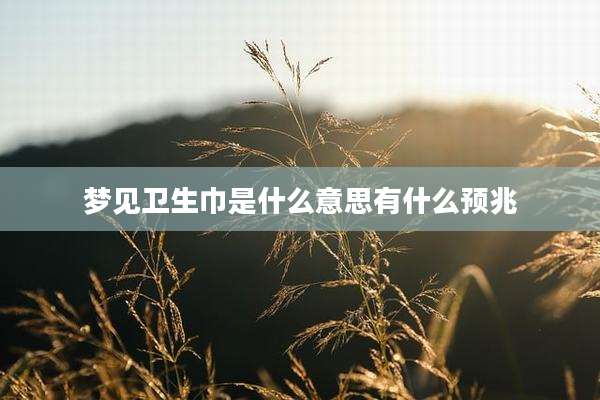 梦见卫生巾是什么意思有什么预兆