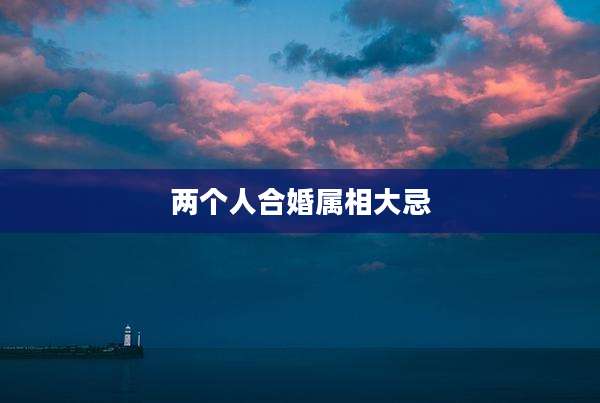 两个人合婚属相大忌