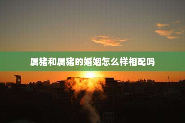属猪和属猪的婚姻怎么样相配吗