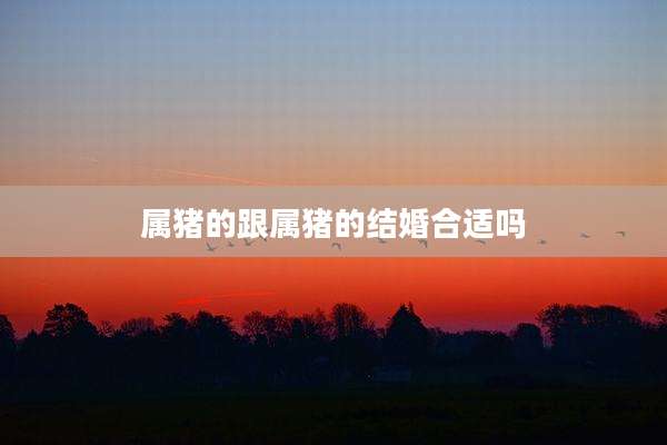 属猪的跟属猪的结婚合适吗