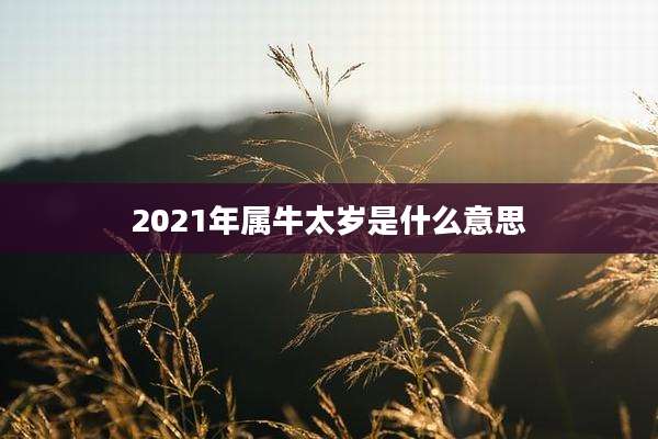 2021年属牛太岁是什么意思