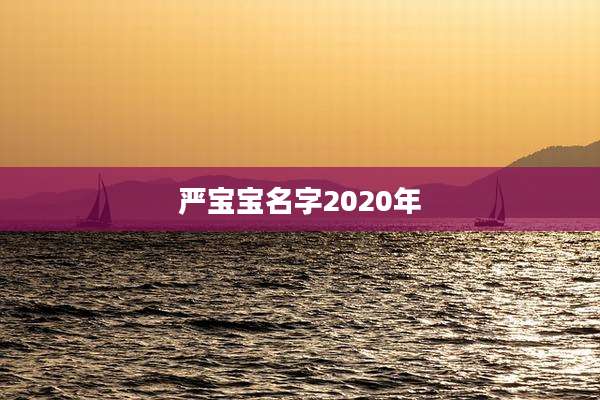 严宝宝名字2020年
