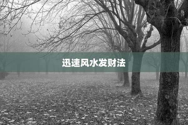 迅速风水发财法