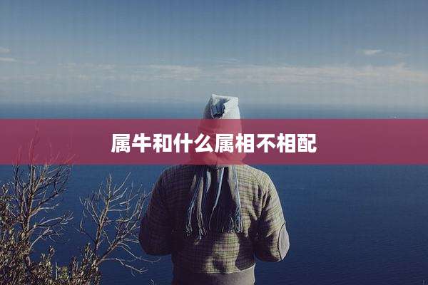 属牛和什么属相不相配