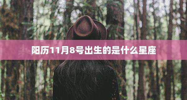 阳历11月8号出生的是什么星座