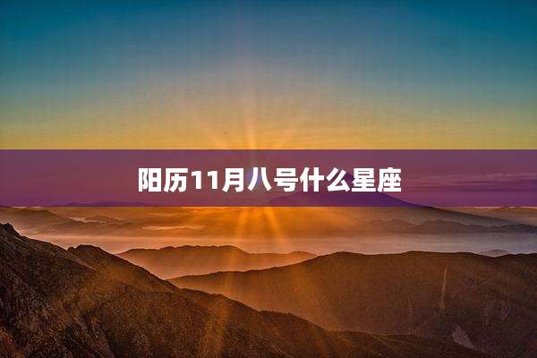 阳历11月八号什么星座