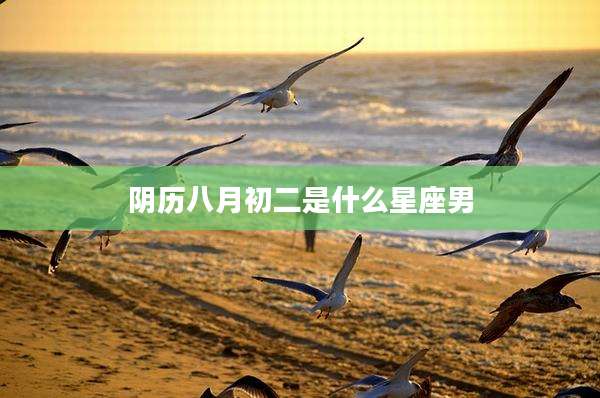 阴历八月初二是什么星座男