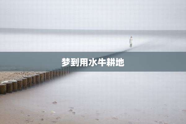 梦到用水牛耕地