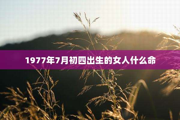 1977年7月初四出生的女人什么命