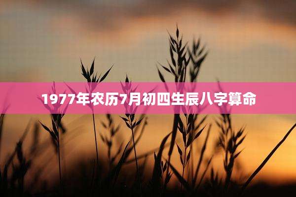 1977年农历7月初四生辰八字算命