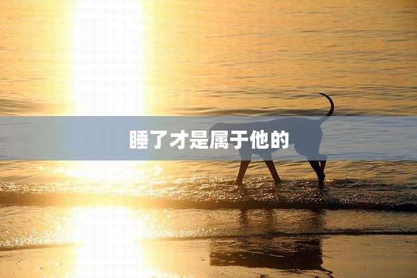 睡了才是属于他的