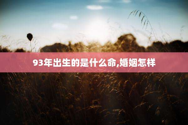93年出生的是什么命,婚姻怎样