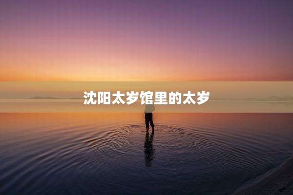 沈阳太岁馆里的太岁