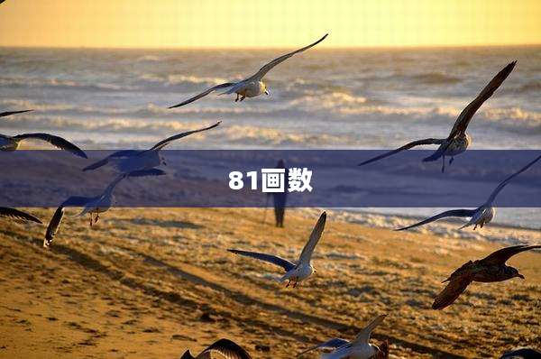 81画数