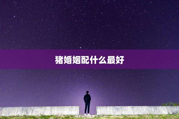 猪婚姻配什么最好