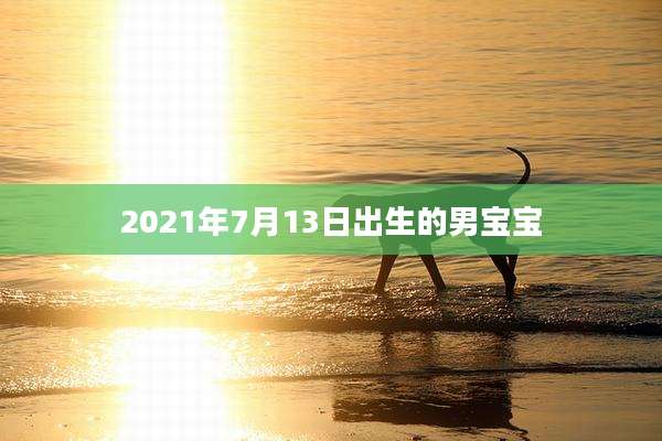 2021年7月13日出生的男宝宝
