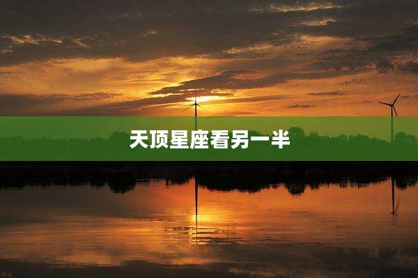 天顶星座看另一半