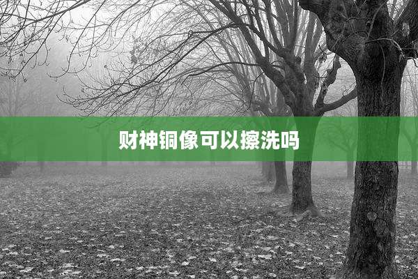 财神铜像可以擦洗吗